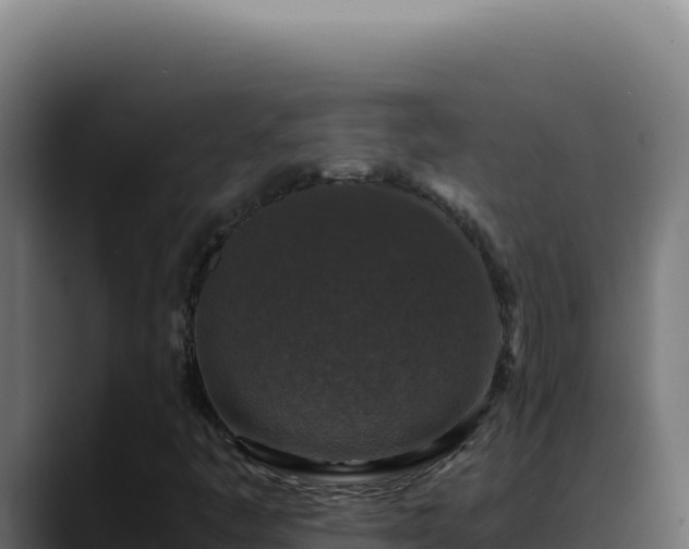 X0000088401445200705291419