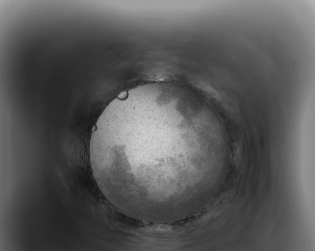 X0000088401446200705291419