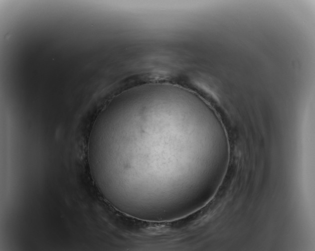 X0000088401447200705291419