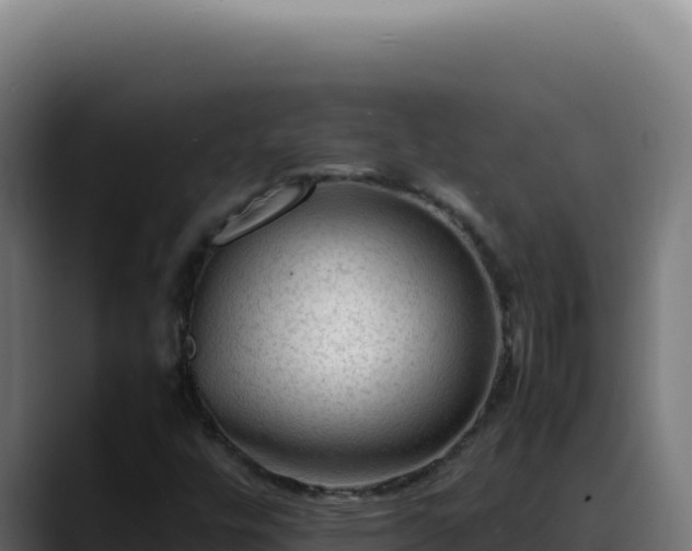 X0000088401448200705291419