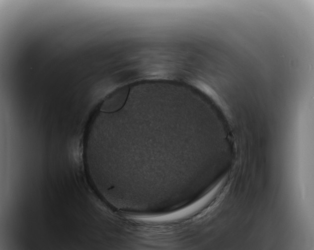 X0000088401450200705291419