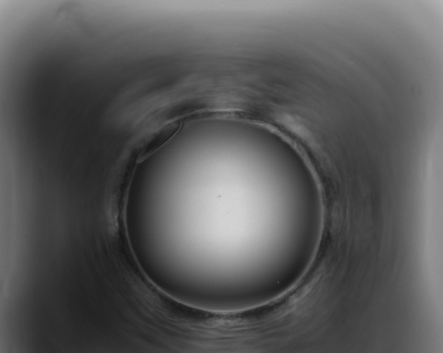 X0000088401451200705291419