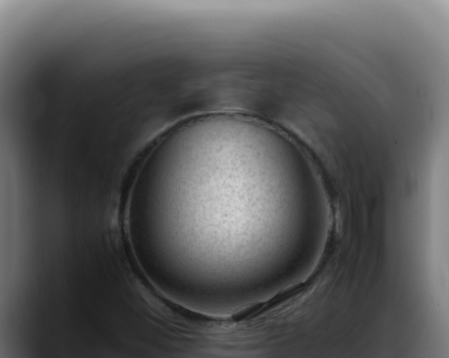 X0000088401452200705291419