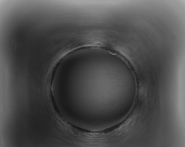 X0000088401455200705291419