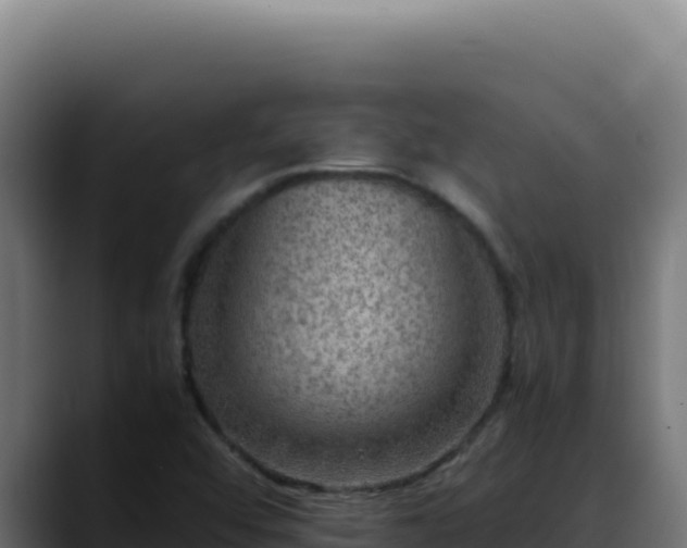 X0000088401456200705291419