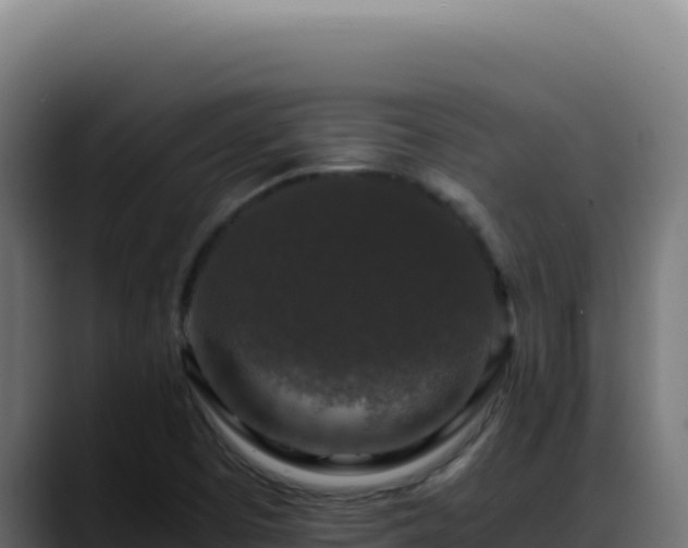 X0000088401457200705291419