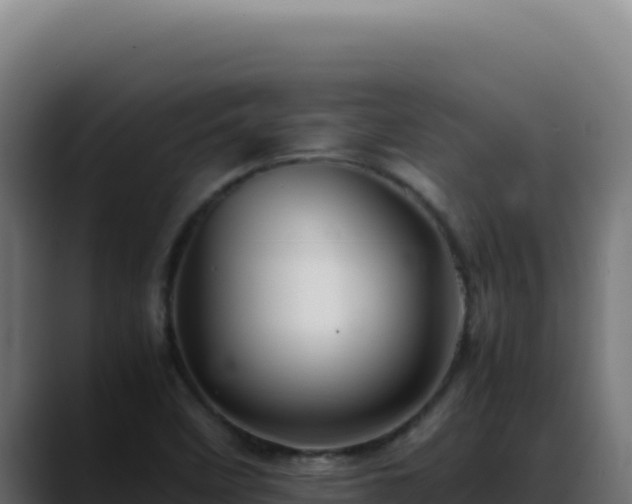 X0000088401458200705291419