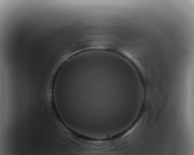 X0000088401459200705291419