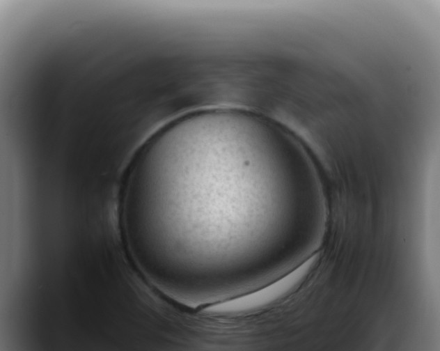 X0000088401460200705291419