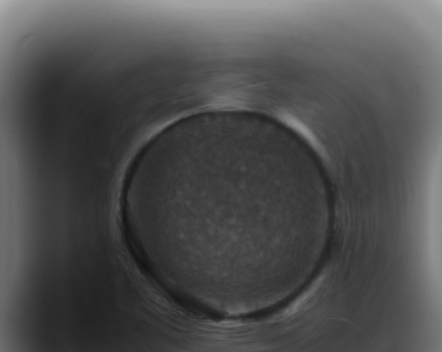 X0000088401461200705291419