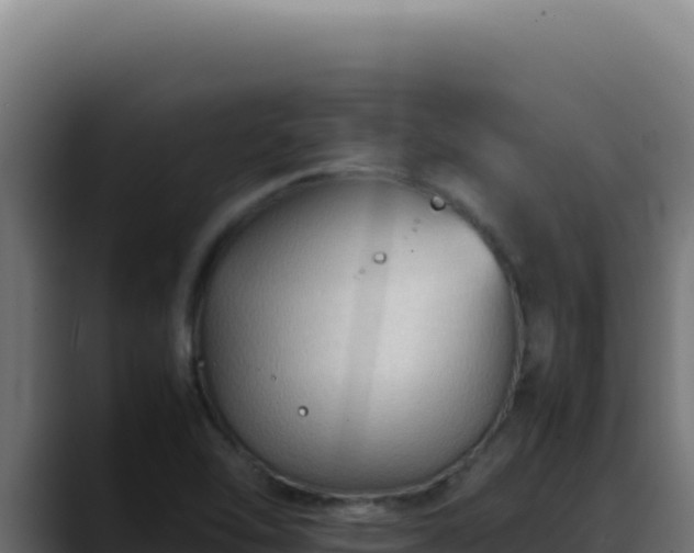 X0000088401462200705291419