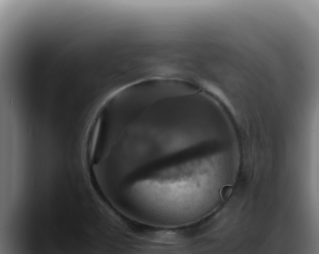 X0000088401463200705291419