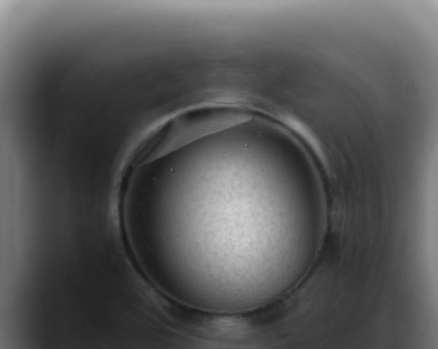 X0000088401464200705291419