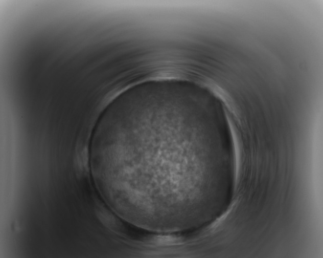 X0000088401465200705291419