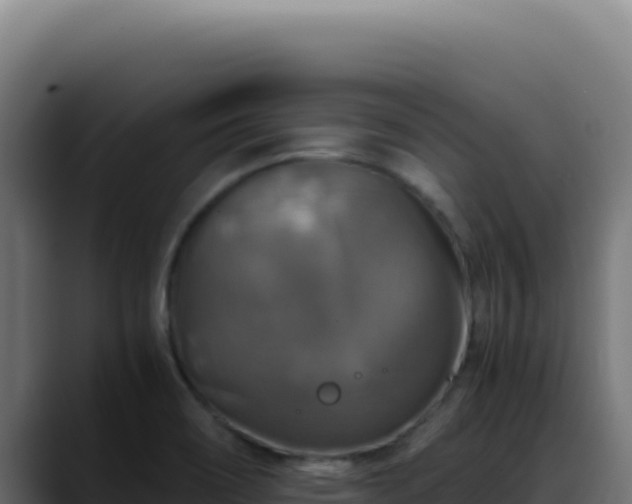 X0000088401466200705291419