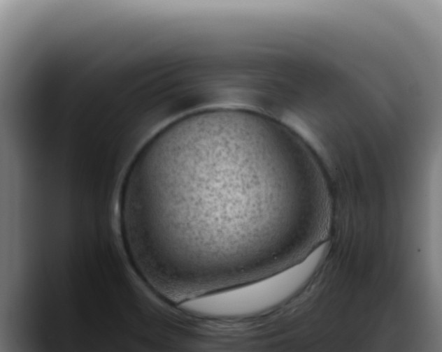 X0000088401468200705291419