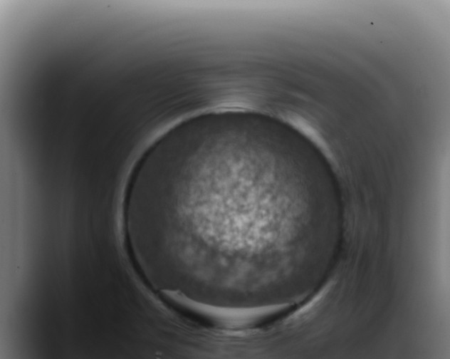 X0000088401469200705291419