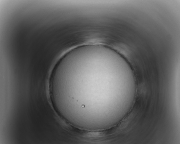 X0000088401470200705291419