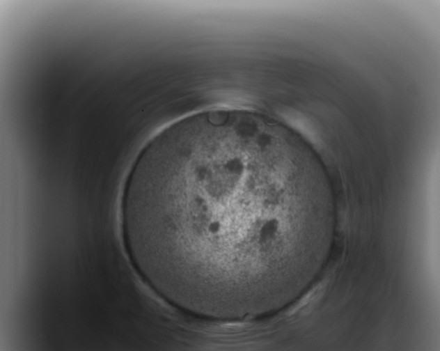 X0000088401471200705291419