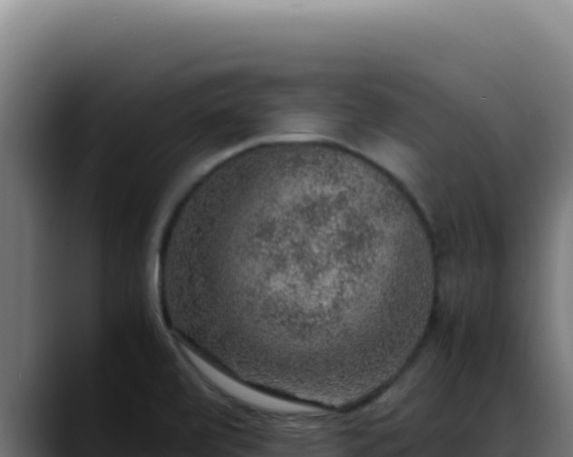 X0000088401472200705291419