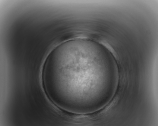 X0000088401475200705291419