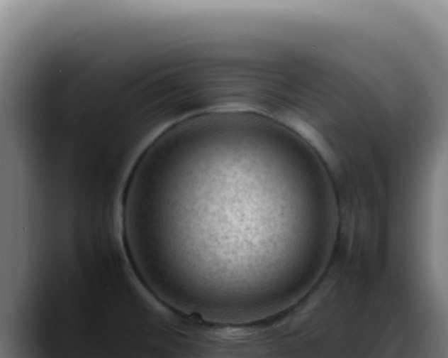 X0000088401476200705291419