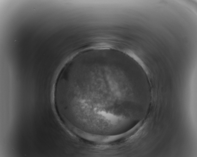 X0000088401477200705291419