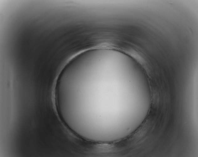 X0000088401478200705291419