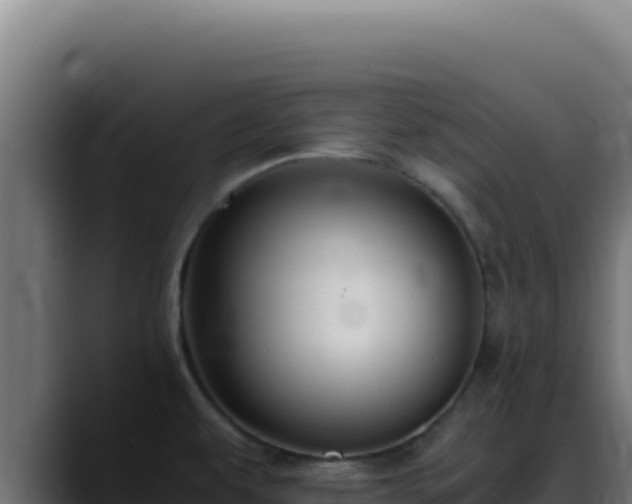 X0000088401479200705291419