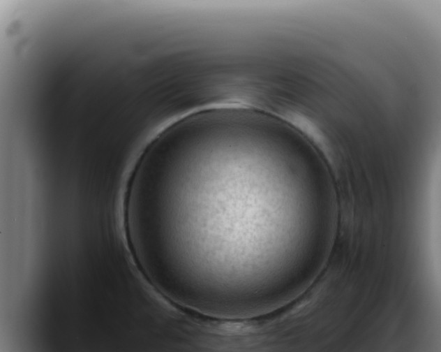 X0000088401480200705291419