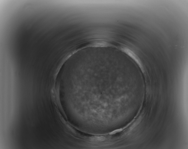 X0000088401481200705291419