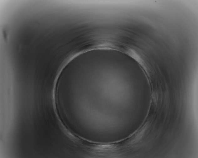 X0000088401482200705291419