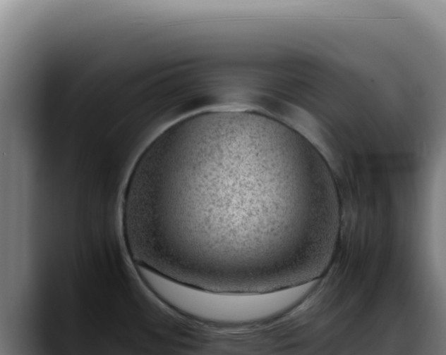 X0000088401484200705291418