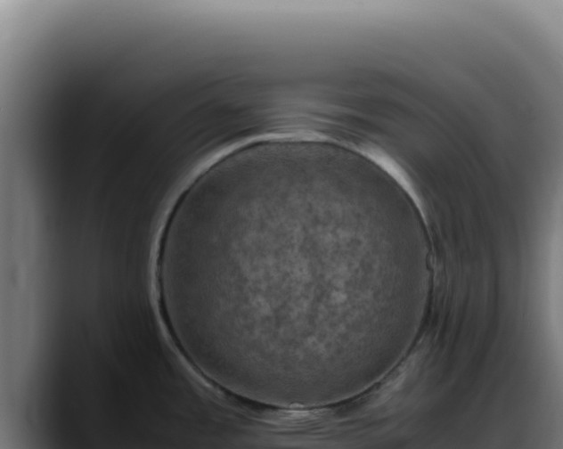 X0000088401485200705291418