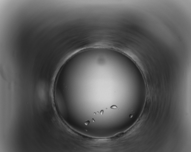 X0000088401486200705291418