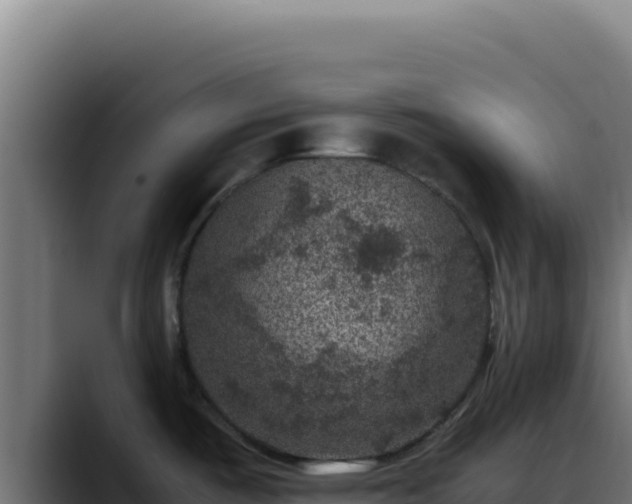 X0000088401487200705291418