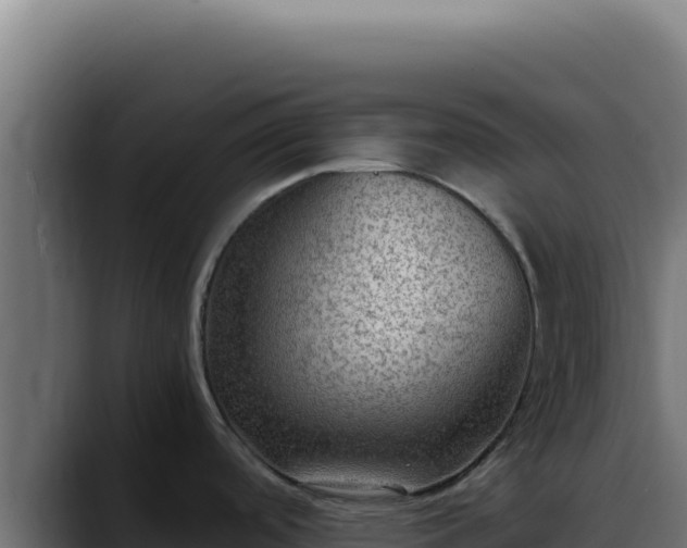 X0000088401488200705291418