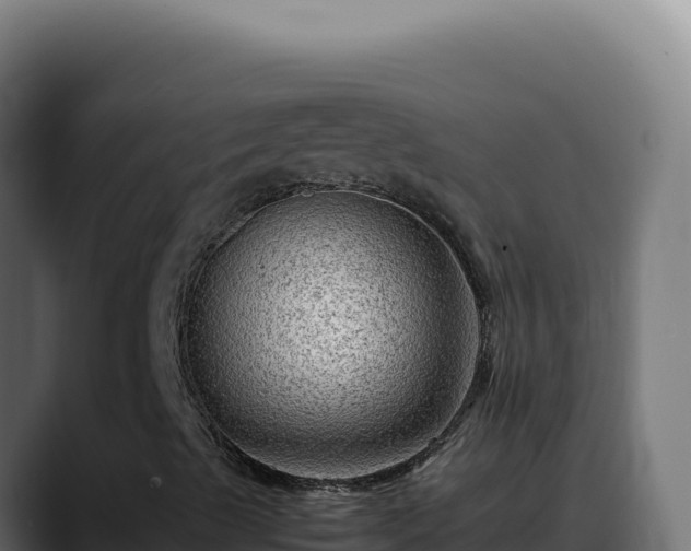 X0000088401489200705291418