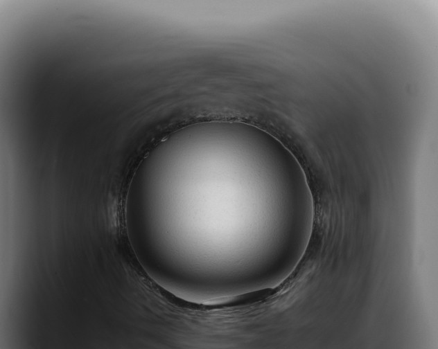 X0000088401490200705291418