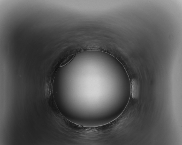 X0000088401491200705291418