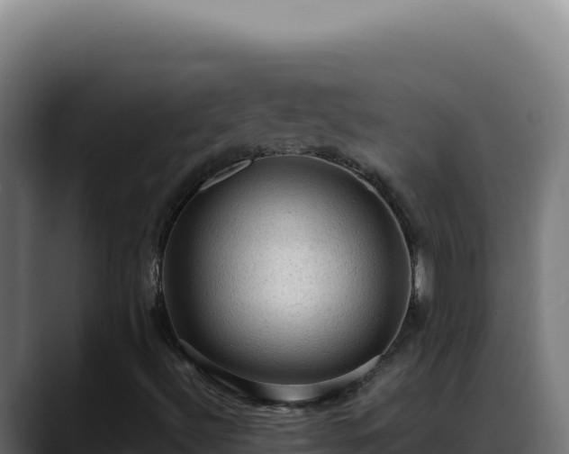 X0000088401492200705291418