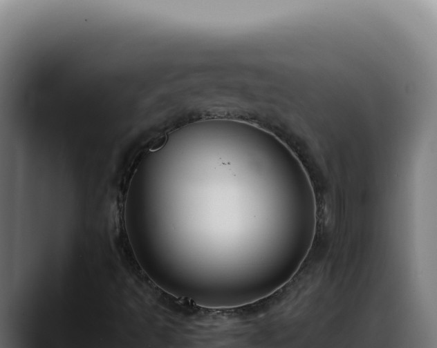 X0000088401493200705291418