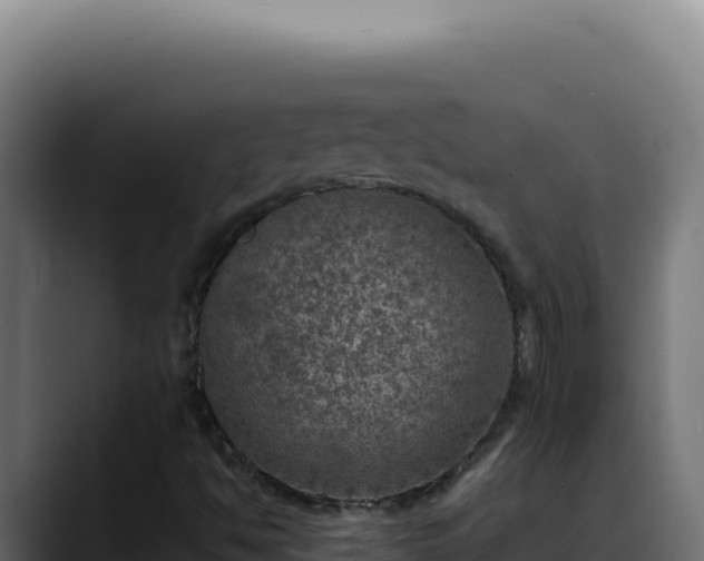 X0000088401494200705291418