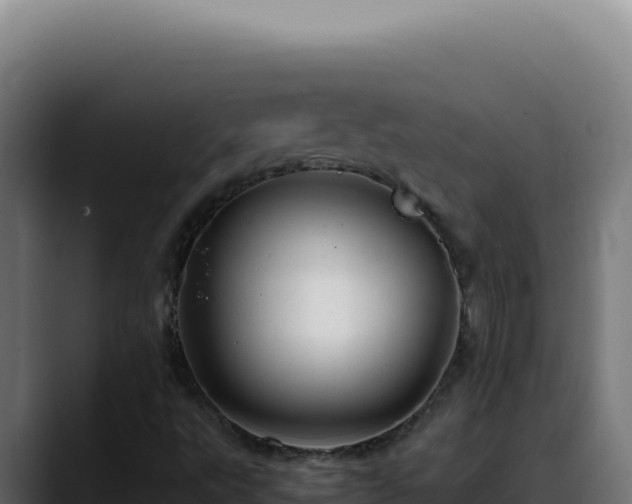 X0000088401495200705291418