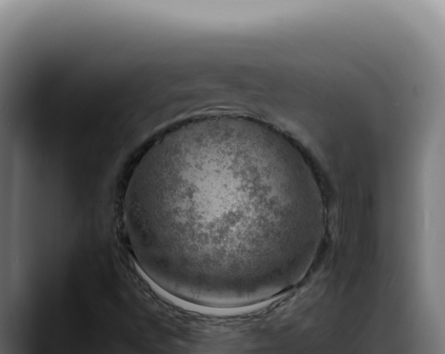 X0000088401496200705291418