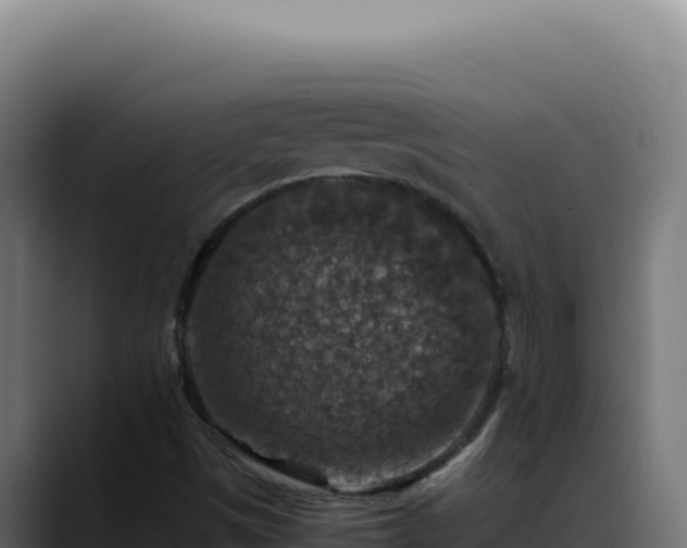 X0000088401497200705291418