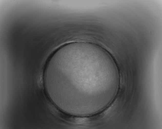 X0000088401498200705291418