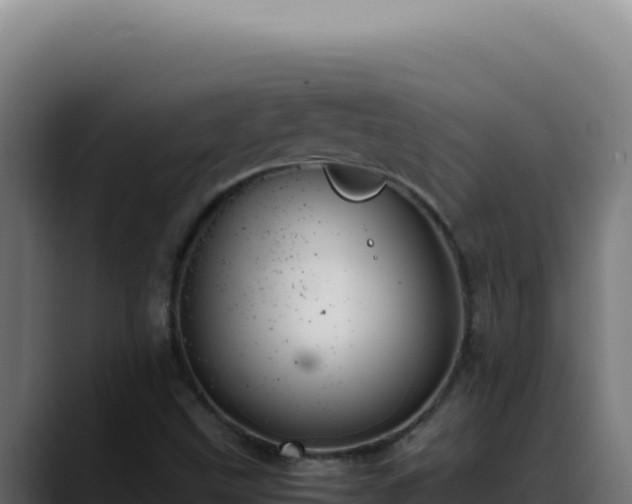 X0000088401499200705291418