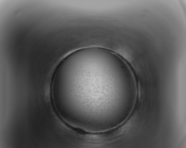 X0000088401500200705291418