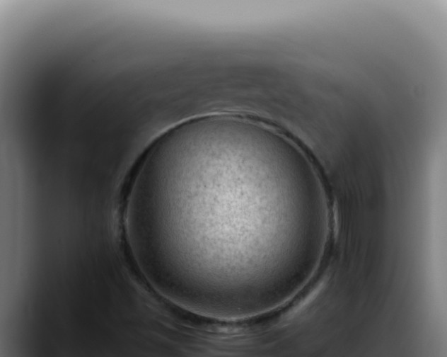 X0000088401501200705291418